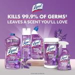 Lysol Lavender Toilet Bowl Cleaner Gel - 24 oz