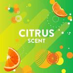 Citrus Fresh Gel Toilet Bowl Cleaning Stamps