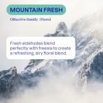 ATTITUDE Plant-Based Laundry Detergent, Mountain Fresh Scent