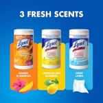 Lysol Eco-Friendly Disinfectant Wipes Bundle