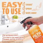 ANGRY ORANGE Citrus Multipurpose Cleaner Spray 24 oz
