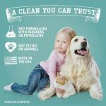 ANGRY ORANGE Citrus Multipurpose Cleaner Spray 24 oz