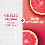 Scentiva Disinfecting Wipes, Grapefruit & Orange, 75 Ct