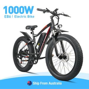 LAGADS EB6 1000W Electric Mountain Fat Tire Ebike