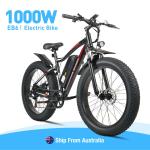 LAGADS EB6 1000W Electric Mountain Fat Tire Ebike
