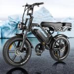 Lagads V20Pro 750W Fat Tire Electric Bike