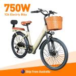 LAGADS Y24 750W Electric City and Mountain Ebike