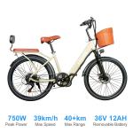 LAGADS Y24 750W Electric City and Mountain Ebike