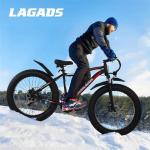 LAGADS EB6 1000W Electric Mountain Fat Tire Ebike