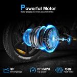 Lagads V20Pro 750W Electric Fat Tire Ebike