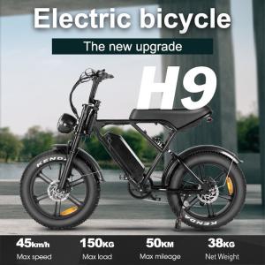 LAGADS H9 750W Electric Bicycle 20" Fat Tire Ebike Hydraulic Brake 48V 15Ah