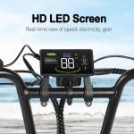 LAGADS H9 750W Electric Bicycle 20" Fat Tire Ebike Hydraulic Brake 48V 15Ah