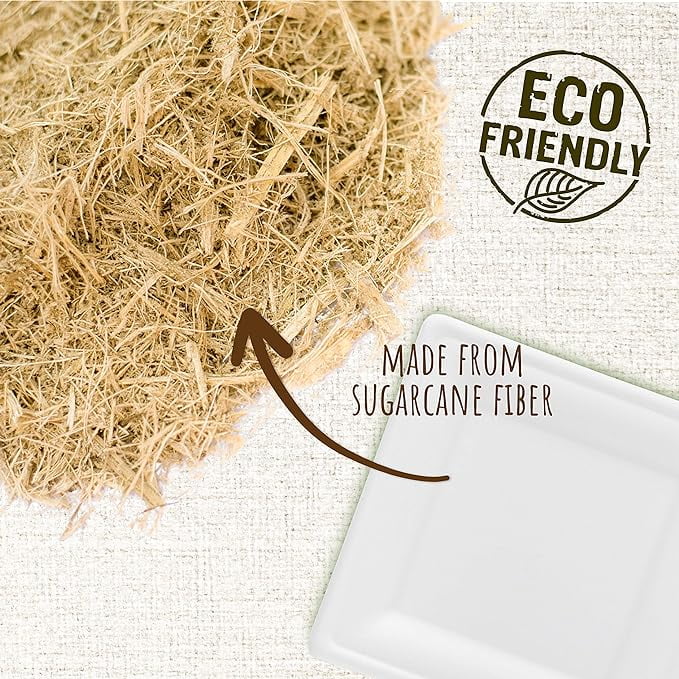 Biodegradable Sugarcane Bagasse Square Plates, 60-Pack