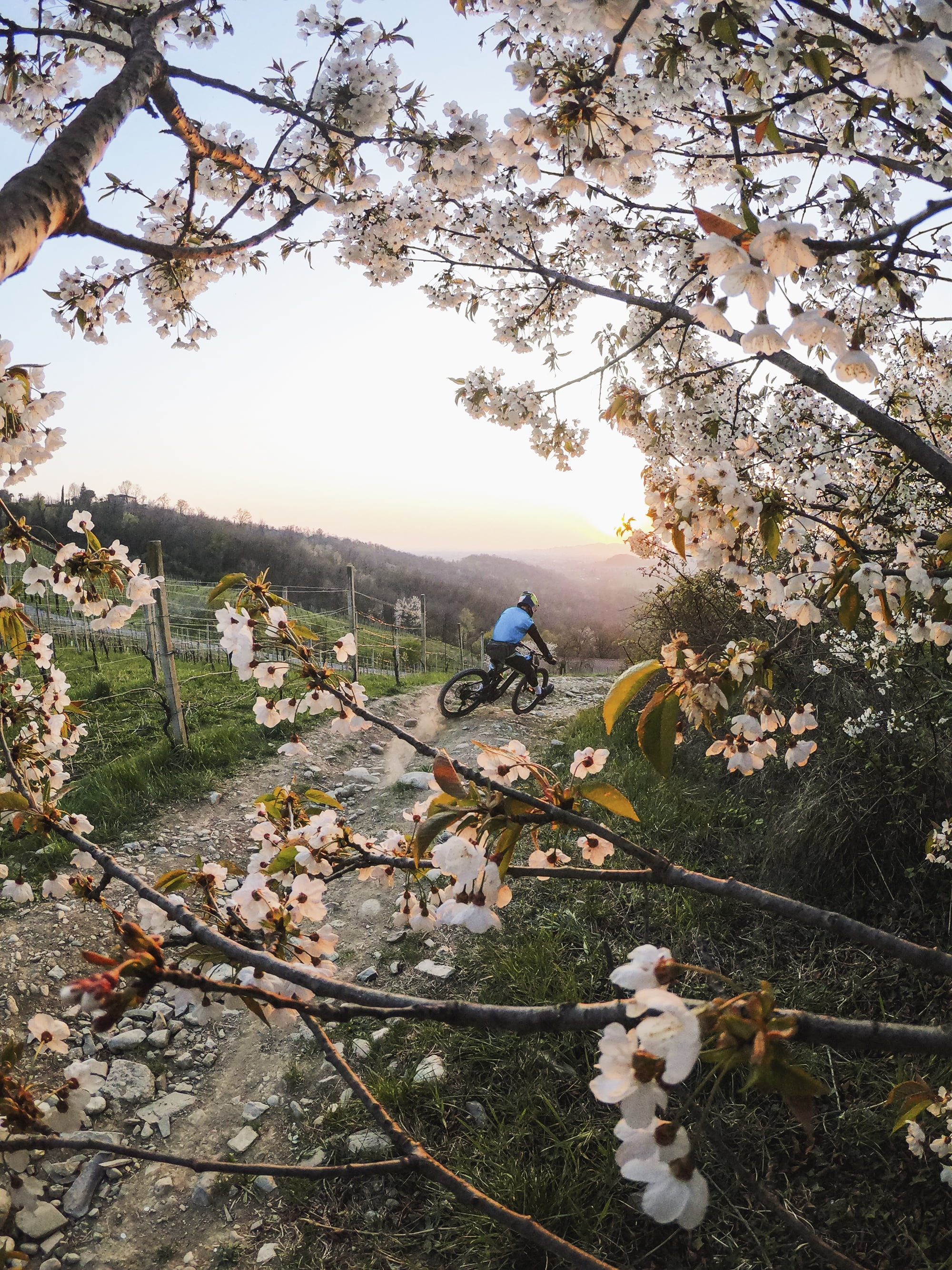 GoPro HERO9 Black Action Camera