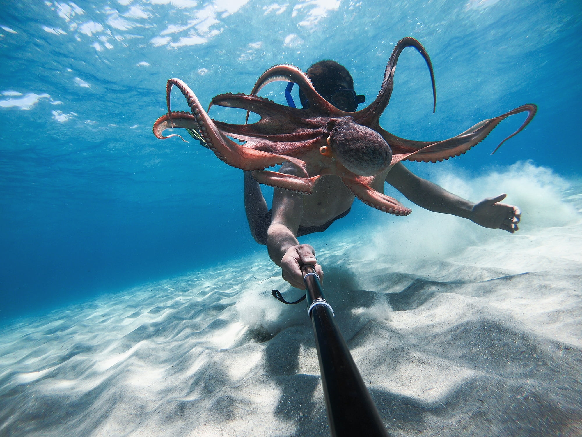 GoPro HERO9 Black Action Camera