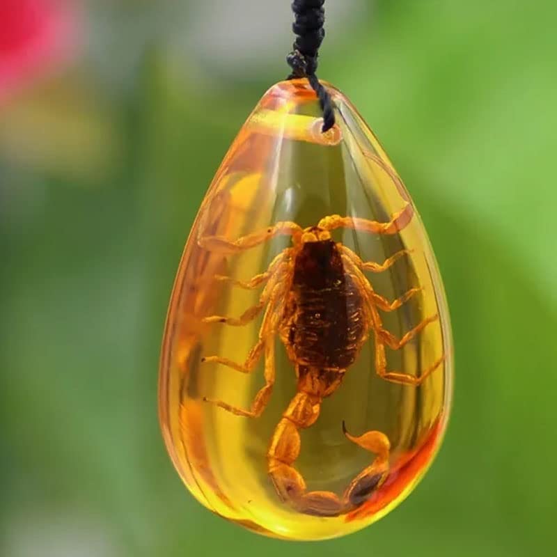 Amber Scorpion Inclusion Pendant Necklace - 2 Pieces