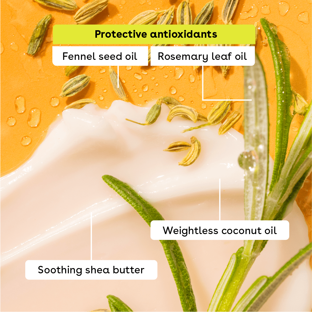 EOS Natural Organic Lip Balm Bundle - Sweet Mint