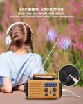 5-Way Powered Emergency Weather Radio with Flashlight
