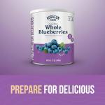 Freeze-Dried Whole Blueberries - Emergency Food Supply