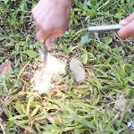 Bayite Large Ferro Rod Fire Starter for Camping