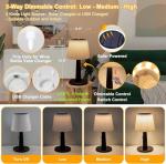 Solar Table Lamps with 3 Lighting Modes