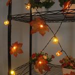 50ft Solar Pumpkin Maple Leaf String Lights