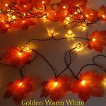 50ft Solar Pumpkin Maple Leaf String Lights