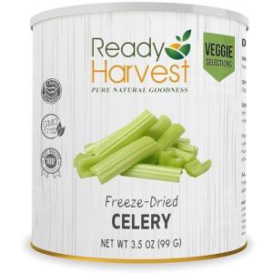 Freeze-Dried Celery - Essential Camping Pantry Food