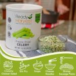 Freeze-Dried Celery - Essential Camping Pantry Food