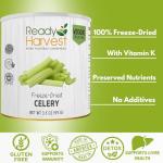 Freeze-Dried Celery - Essential Camping Pantry Food