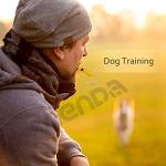 35-Piece Emergency Whistle Set with Keychain