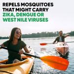 Deep Woods Insect Repellent Aerosol, 30% DEET