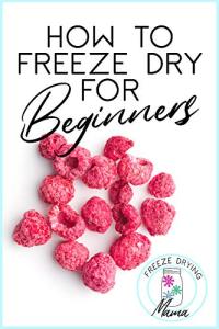 Freeze Drying Made Simple for Beginners