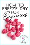 Freeze Drying Made Simple for Beginners