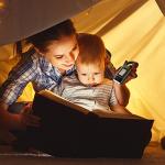 Solar Hand Crank Flashlight with Carabiner - 4 Pack