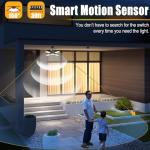 Solar Shed Light with Motion Sensor and Remote