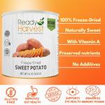 Freeze-Dried Sweet Potatoes - 25-Year Shelf Life