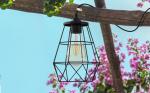 Solar Pendant Lights for Indoor and Outdoor Use