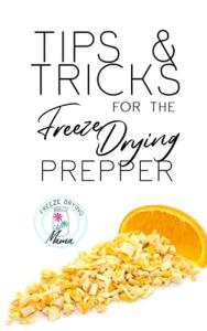 Freeze Drying Essentials for Prepper Success