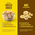 Freeze-Dried Bananas - Long-Lasting Emergency Food