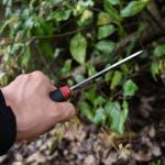 Morakniv Companion Fixed Blade Outdoor Knife - Green