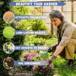 Gain 1900+ Pyrethrum Seeds for Pest Control