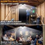 Solar LED Light with Motion Activation for Sheds