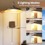 APILAB Solar Shed Light with 3 Modes