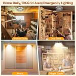 Solar Shed Light with Remote & Dimmable Options