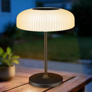 Solar USB-C Rechargeable Waterproof Table Lamp