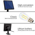 Solar Powered LED Lights with 9.8FT Extension Cable