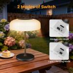 Solar USB-C Rechargeable Waterproof Table Lamp