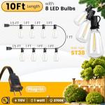 10FT Waterproof LED String Lights for Outdoors