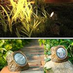 Solar Rock Lights - 10 LED Outdoor Spotlights